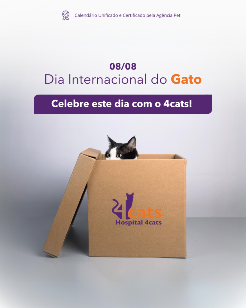 Dia internacional do Gato