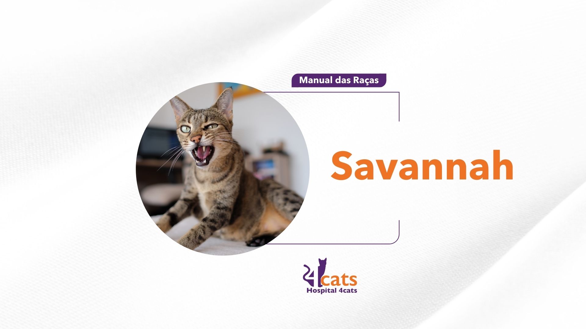 Savannah