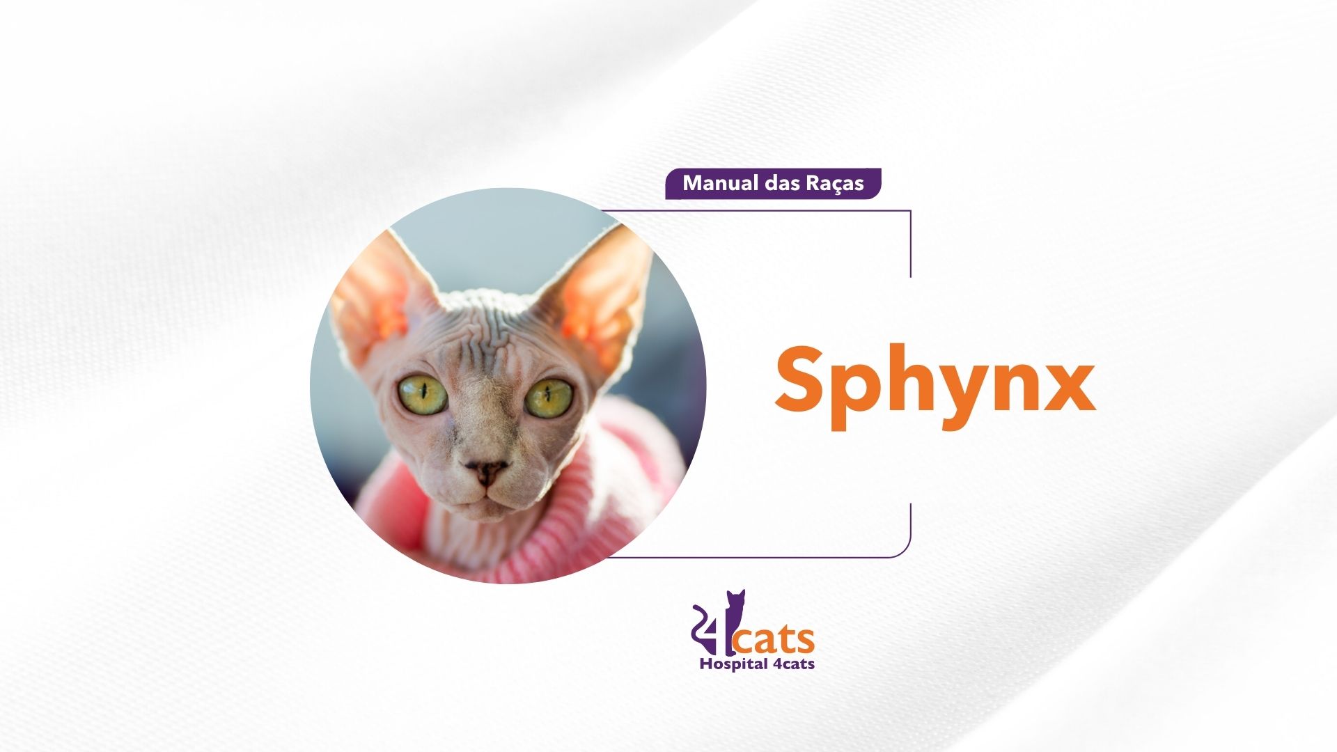 Sphynx