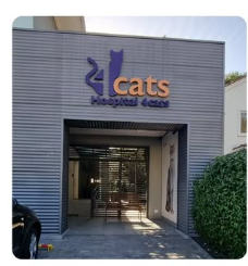 4 Cats
