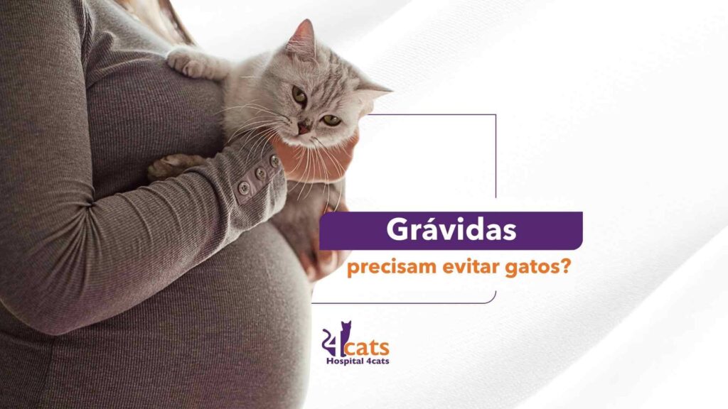 Mulher grávida segurando um gatinho no colo