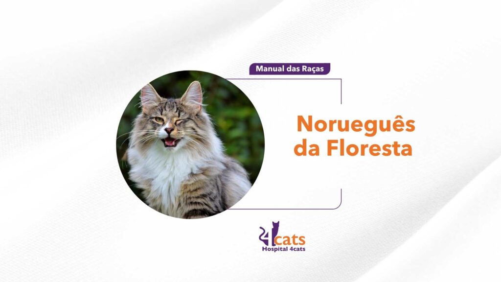 Norueguês da Floresta