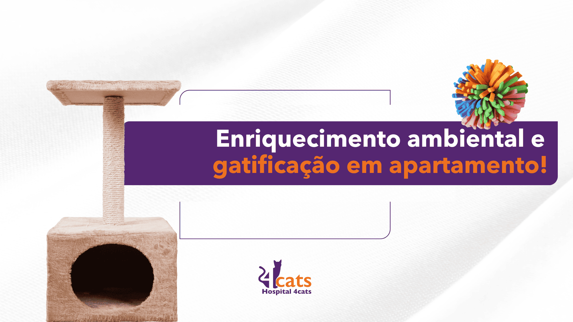 enriquecimento-ambiental-gato-apartamento-4cats-veterinario-saopaulo