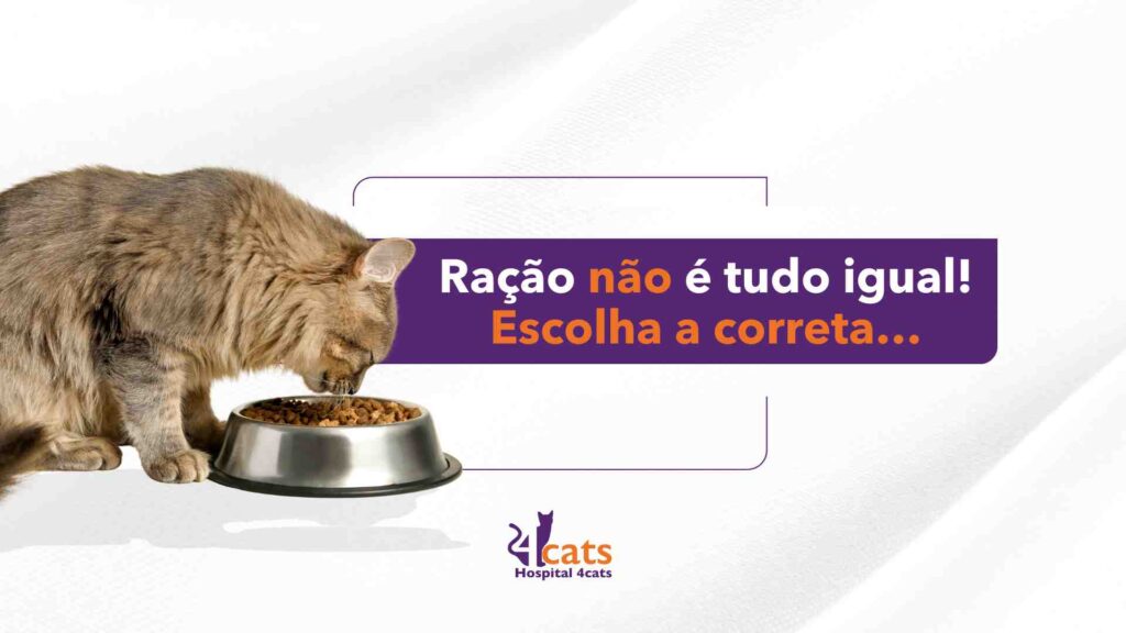 ração não é tudo igual - para gatos, 4cats hospital veterinario em sao paulo