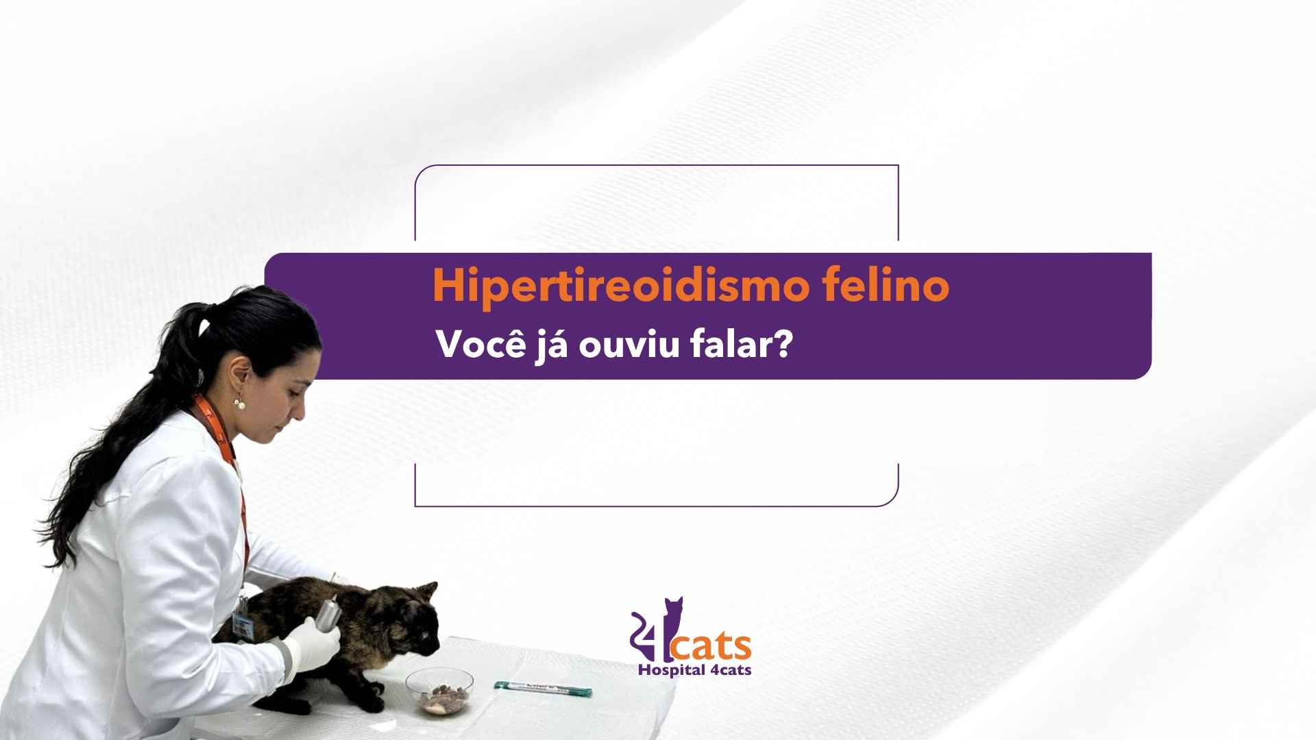 Hipertireoidismo felino 4cats iodoterapia