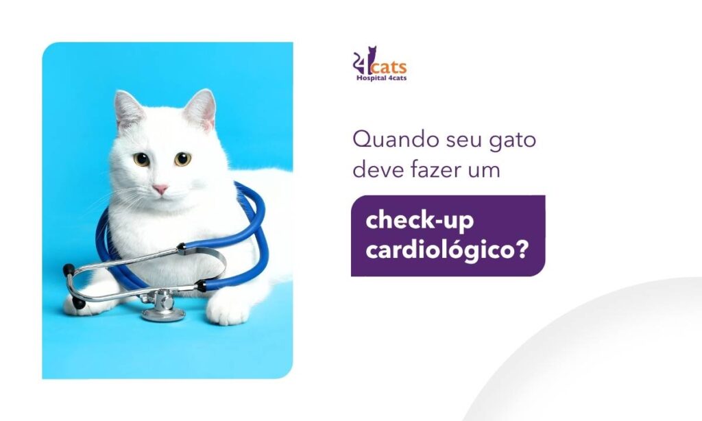 doenças cardiacasa check-up gatos felinos hospital 4cats sao paulo
